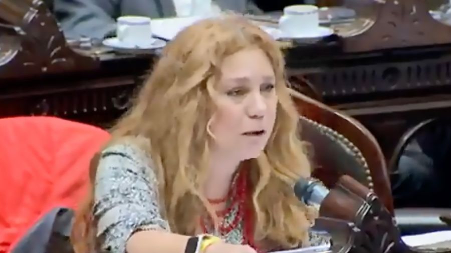 Diputados rechazó el decreto de Javier Milei que limita el acceso a la ...
