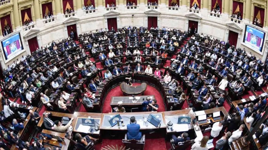 En vivo: Diputados debate el DNU de Javier Milei sobre el acuerdo con ...