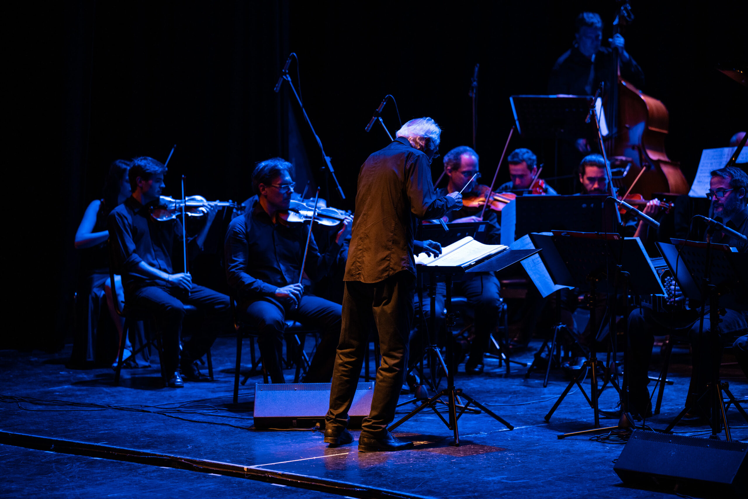 Noches de música bajo las estrellas en el Anfiteatro del Parque ...
